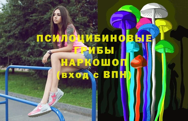 apvp Орехово-Зуево