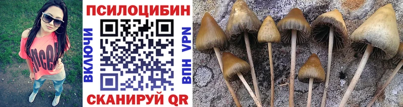 Галлюциногенные грибы Psilocybine cubensis MEGA зеркало Вихоревка